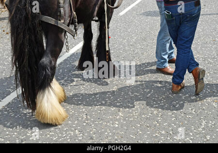 Pferd Händler in Ballyclare May Fair, County Antrim. Stockfoto