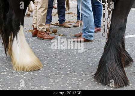 Pferd Händler in Ballyclare May Fair, County Antrim. Stockfoto