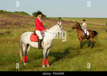 Reiterinnen und Reiter. Zwei attraktive Frauen Pferde auf der grünen Wiese. Reiten. Pferderennen. Reiter auf einem Pferd. Stockfoto