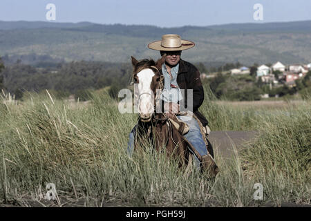 Gaucho Reiter und sein Pferd in Pichilemu, Chile, Südamerika Stockfoto