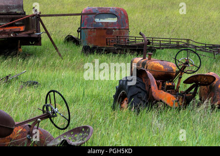 Alte Traktoren im Feld Stockfoto