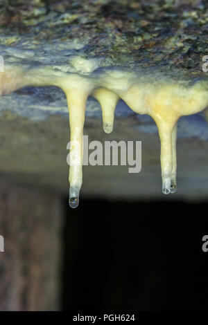Stalaktiten im Dach mit Wassertropfen Stockfoto