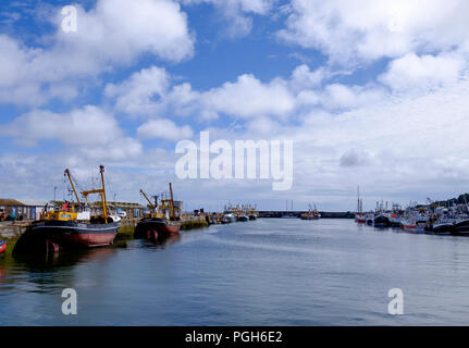 Um Newlyn ein aktives Fischerdorf an der Küste von Cornwall. Cornwall England UK Newlyn Harbour und Boote Stockfoto