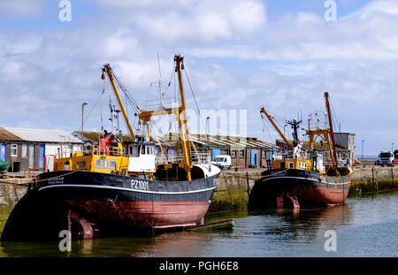 Um Newlyn ein aktives Fischerdorf an der Küste von Cornwall. Cornwall England UK Newlyn Harbour und Boote Stockfoto