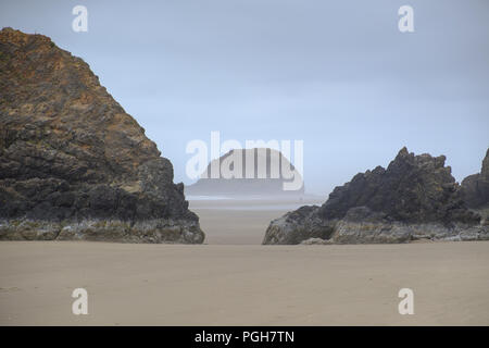 Sea Stacks auf misty morning im Arcadia Beach State Park, Florida, USA Stockfoto