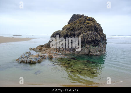 Sea Stacks auf misty morning im Arcadia Beach State Park, Florida, USA Stockfoto