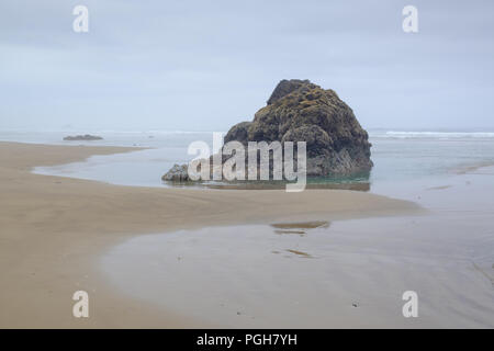 Sea Stacks auf misty morning im Arcadia Beach State Park, Florida, USA Stockfoto