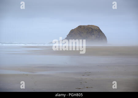 Sea Stacks auf misty morning im Arcadia Beach State Park, Florida, USA Stockfoto