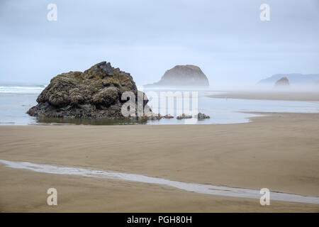 Sea Stacks auf misty morning im Arcadia Beach State Park, Florida, USA Stockfoto