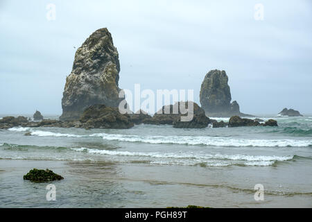 Rocks Off Cannon Beach, Oregon, USA Stockfoto