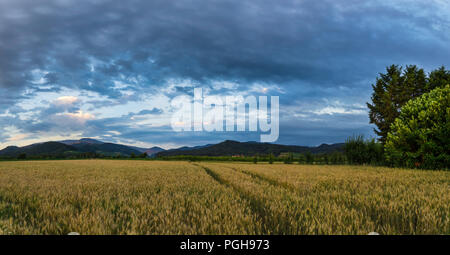 Deutschland, XXL Panorama der Schwarzwald Landschaft hinter Felder in der Morgendämmerung Stockfoto