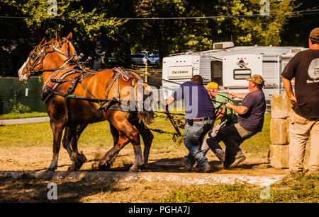 Brooklyn Fair Brooklyn, Connecticut, USA Stockfoto