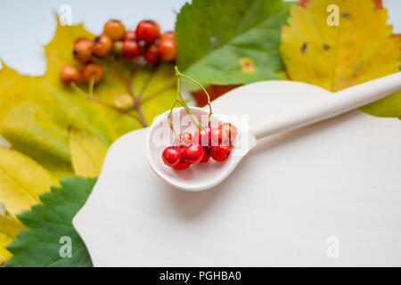 Vogelbeeren auf dem Löffel auf Holztisch. Rezept Hintergrund. Herbst Konzept. Leeren Platz für einen Text oder ein Objekt. Ansicht von oben. Herbst still-Leben. Herbstliche Stimmung. fallen. Herbst Dekoration. Hallo Herbst Stockfoto