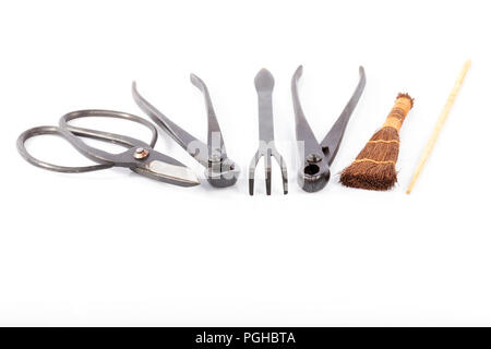 Satz von Tools für die Kultivierung von Bonsai isoliert auf Weiss. Gartenschere, Dreschkorb, Dreschtrommel Gartenschere, Pinsel, Spachtel Rechen, und Stick. Stockfoto