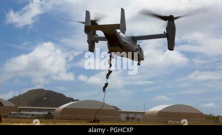 OAHU - US-Marines mit Lima Company, Bataillon Landung Team 3/1, 13 Marine Expeditionary Unit (MEU), schnelle-Seil aus einer MV-22 B Osprey, Marine Medium Tiltrotor Squadron 166 verstärkt, 13. MEU, während sustainment Übung, 21. Juli 2018. Dieses Training erlaubt Marinesoldaten und Matrosen zu Fähigkeiten während eines umfassenden 6-Monats predeployment Ausbildung Zyklus entwickelt Sustain und umfasst die Planung und Ausführung von Ship-to-shore Operationen, Unternehmen mittleren Hubschrauber und Amphibische Angriffe, die Bekämpfung der Treffsicherheit und Konvois. Das Essex Amphibious Ready Gruppe/MEU Team ist eine starke, flexible Stockfoto