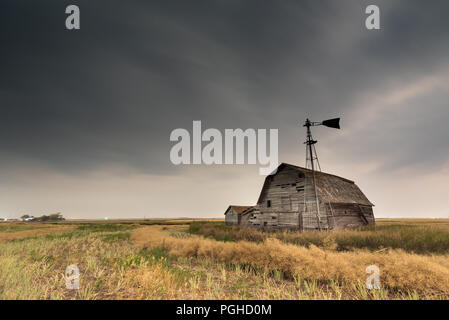 Alte Scheune, Behälter und Windmühle in Schwaden abgelegt gedroschen Rapsfeld unter ominösen dunklen Himmel in Saskatchewan, Kanada Stockfoto