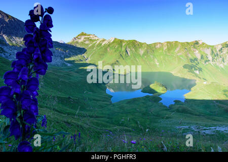 Allgäuer Alpen: See Schrecksee, Blumen, Alp, Schwaben, Allgäu, Schwaben, Bayern, Bayern, Deutschland Stockfoto