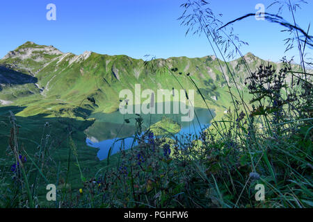 Allgäuer Alpen: See Schrecksee, Blumen, Alp, Schwaben, Allgäu, Schwaben, Bayern, Bayern, Deutschland Stockfoto