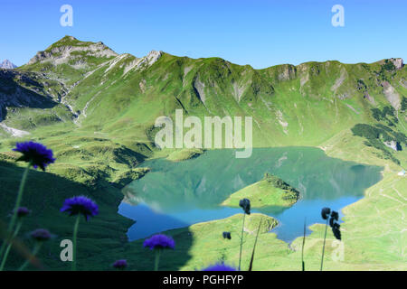 Allgäuer Alpen: See Schrecksee, Blumen, Alp, Schwaben, Allgäu, Schwaben, Bayern, Bayern, Deutschland Stockfoto