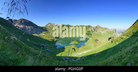 Allgäuer Alpen: See Schrecksee, Blumen, Alp, Schwaben, Allgäu, Schwaben, Bayern, Bayern, Deutschland Stockfoto