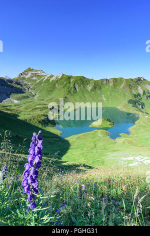 Allgäuer Alpen: See Schrecksee, Blumen, Alp, Schwaben, Allgäu, Schwaben, Bayern, Bayern, Deutschland Stockfoto