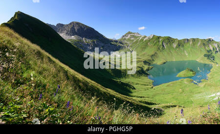 Allgäuer Alpen: See Schrecksee, Blumen, Alp, Schwaben, Allgäu, Schwaben, Bayern, Bayern, Deutschland Stockfoto