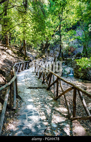Das ist ein Bild von einem Wald Fuß weg, wie es seinen Weg Kurven durch die Bäume. Stockfoto