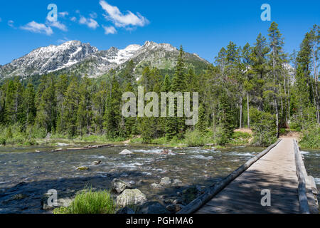 Trail Bridge entlang String See Teton National Park, Wyoming Stockfoto