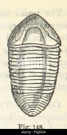Bild von Seite 158 "eine beliebte und praktische Darstellung der Mineralien und Geologie von Kanada, etc'. Stockfoto