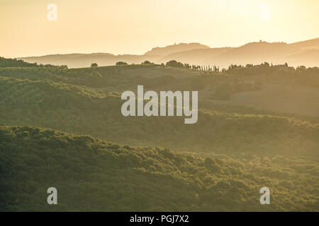 Hügel der Toskana bei Sonnenaufgang Stockfoto