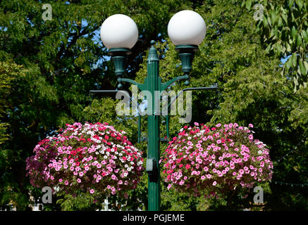 Blumentöpfe gefüllt mit Petunien hängen von einem Park lampe Pol in der historischen Plaza in Santa Fe, New Mexico. Stockfoto