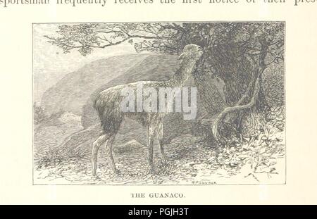 Bild von Seite 50 der "Was Darwin sah in seiner Reise um die Welt in das Schiff "Beagle." [Übersetzt und von "Journal der Forschungen in die Geologie und Naturgeschichte der verschiedenen Länder vi 0016 angepasst. Stockfoto