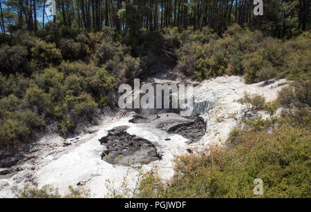 Natürliche thermische Aktivität, zerklüftete Landschaft und Wald Wachstum am Orakei Korako Bereich in Rotorua, Neuseeland Stockfoto