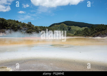 Die üppigen, grünen und dampfend heißen Frühling an die geothermale Region Orakei Korako in Rotoraua, Neuseeland Stockfoto