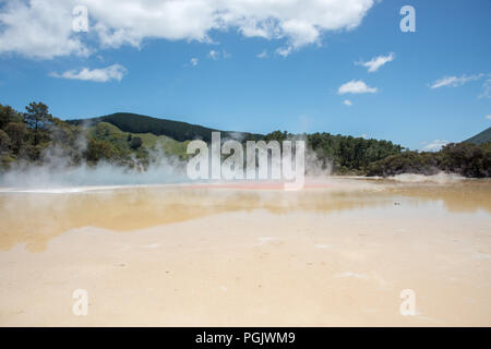 Dampf stieg von Champagner Pool am Orakei Korako geothermische Bereich in Rotoraua, Neuseeland Stockfoto