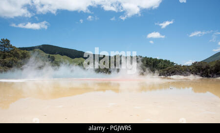 Dampfende Champagner Pool und nassen Boden Fläche am Orakei Korako geothermische Bereich in Rotoraua, Neuseeland Stockfoto