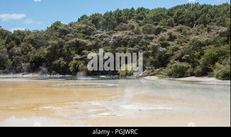 Die thermische Aktivität und üppiges Grün am Orakei Korako geothermische Bereich in Rotoraua, Neuseeland Stockfoto