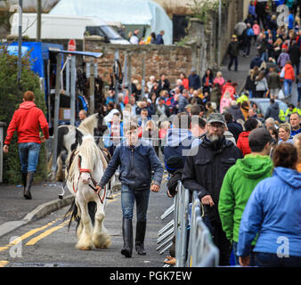 Ballycastle, Nordirland. Montag, 27 August, 2018. Kuhhandel ist immer noch ein integraler Bestandteil der Ould Lammas Fair bei ballycastle Die Ould Lammas Fair ist die älteste Messe in Irland. Das Wort Lammas kommt von 'Laib Masse" - traditionell Gebackenes Brot aus der ersten Körner von Herbst wurden auf die Kirche verändern. Sorley Boy McDonnell, County Antrim clan Häuptling, ist mit der Gründung der Messe in der Mitte-1500's gutgeschrieben und es in Ballycastle Diamond bewegte sich in 1625. Credit: Graham Service/Alamy leben Nachrichten Stockfoto