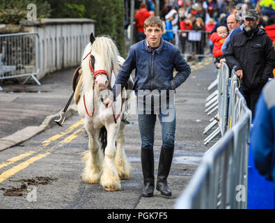 Ballycastle, Nordirland. Montag, 27 August, 2018. Kuhhandel ist immer noch ein integraler Bestandteil der Ould Lammas Fair bei ballycastle Die Ould Lammas Fair ist die älteste Messe in Irland. Das Wort Lammas kommt von 'Laib Masse" - traditionell Gebackenes Brot aus der ersten Körner von Herbst wurden auf die Kirche verändern. Sorley Boy McDonnell, County Antrim clan Häuptling, ist mit der Gründung der Messe in der Mitte-1500's gutgeschrieben und es in Ballycastle Diamond bewegte sich in 1625. Credit: Graham Service/Alamy leben Nachrichten Stockfoto