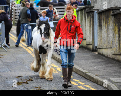 Ballycastle, Nordirland. Montag, 27 August, 2018. Kuhhandel ist immer noch ein integraler Bestandteil der Ould Lammas Fair bei ballycastle Die Ould Lammas Fair ist die älteste Messe in Irland. Das Wort Lammas kommt von 'Laib Masse" - traditionell Gebackenes Brot aus der ersten Körner von Herbst wurden auf die Kirche verändern. Sorley Boy McDonnell, County Antrim clan Häuptling, ist mit der Gründung der Messe in der Mitte-1500's gutgeschrieben und es in Ballycastle Diamond bewegte sich in 1625. Credit: Graham Service/Alamy leben Nachrichten Stockfoto