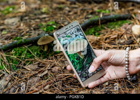 Women's Hand am Telefon. foto Pilz mit Ihrem Smartphone Stockfoto