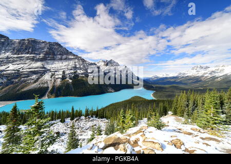 Blick vom Bug Gipfel des Peyto Lake im Banff National Park, Alberta, Kanada. Stockfoto