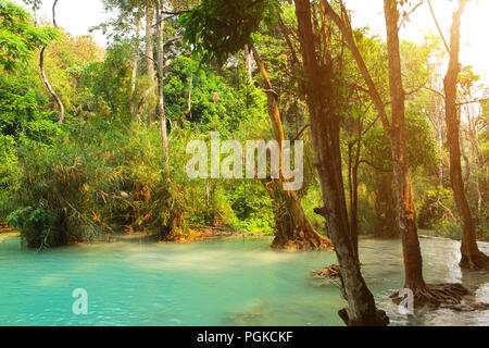 Teich in der Nähe von toTad Kuang Si Wasserfall im Regenwald, Luang Prabang, Laos Stockfoto