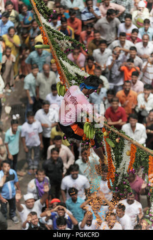 Dahi Handi festival Gottes Krishna Geburt in Mumbai, Indien zu feiern. Eine Person links hinter Holding zum Seil nach der Pyramide der Männer unter ihm zusammenbrechen. Stockfoto