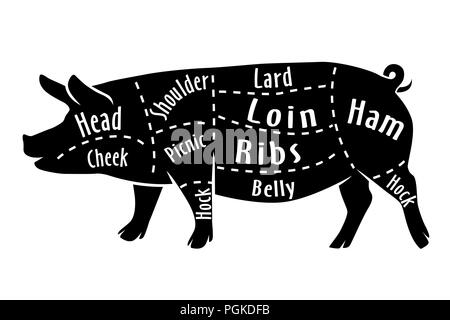 Schneiden von Schweinefleisch, Schaltplan für Metzger. Schweinefleisch Schnitt Stock Vektor