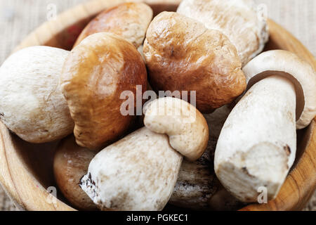 Pilze Steinpilze in eine hölzerne Schüssel über Holz- Hintergrund. Herbst Pilze Stockfoto