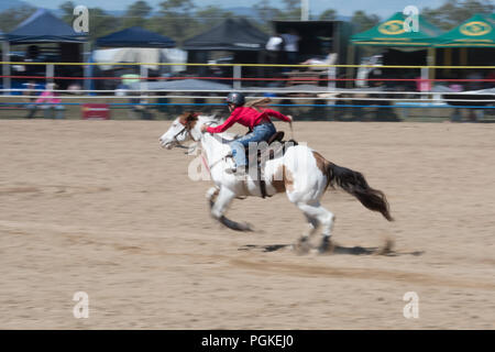 Frau Reiter in den Lauf Rennen in Mareeba Rodeo, Far North Queensland, FNQ, QLD, Australien konkurrieren Stockfoto