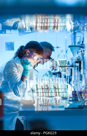 Gesundheitswesen Forscher arbeiten im Life-Science-Labor. Junge weibliche Forschung Wissenschaftler und Senior männlichen Vorgesetzten Vorbereitung und Analyse von microsc Stockfoto