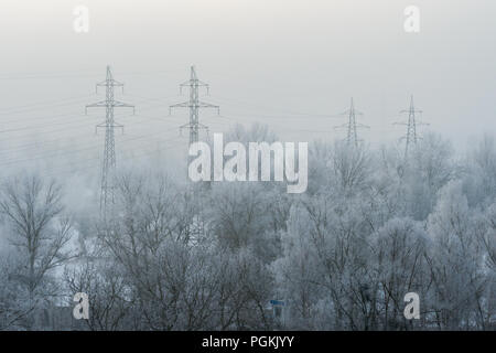 Hochspannungs-Türme entlang der schneebedeckten Bäumen während Frost mit Nebel Stockfoto