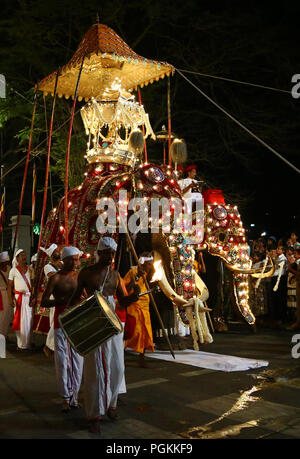 Sri Lanka. 25 Aug, 2018. Elefanten für die Esala Perahera Festival dekoriert ist, führen vorbei an Sri Lanka buddhistische Tempel des Zahns in der antiken Hügel Hauptstadt Kandy, 116 km von Colombo am 25. August 2018. Das Festival bietet eine Nacht Prozession von Kandyan Tänzer, Feuer twirlers, traditionelle Musiker, akrobatische Feuer Darsteller und Elefanten, das Sammeln von Tausenden von Touristen und Zuschauer rund um die Insel. Credit: Pradeep Dambarage/Pacific Press/Alamy leben Nachrichten Stockfoto